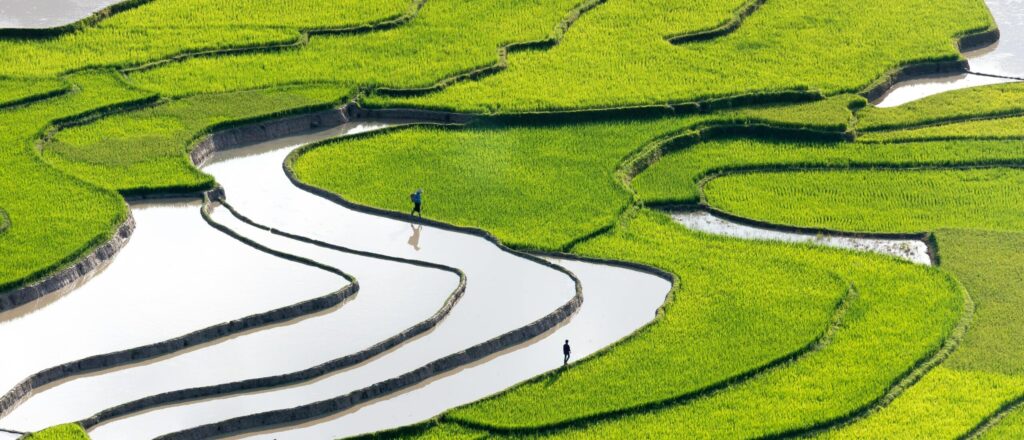 A stunning aerial shot of vibrant green terraced rice fields with reflections in water.